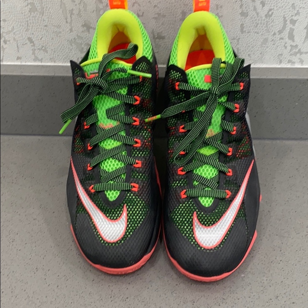 Lebrons 9.5